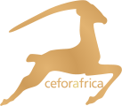 Ceforafrica – Afroshop
